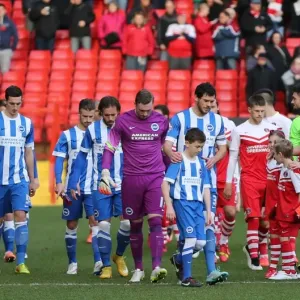 Brighton & Hove Albion's Mascot at Charlton Athletic's The Valley during Sky Bet Championship Match, 10 January 2015 Brighton & Hove Albion's Mascot at Charlton Athletic's The Valley during Sky Bet Championship Match, 10 January 2015