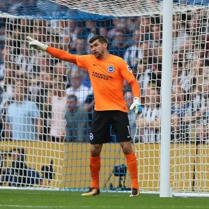 Brighton & Hove Albion's Mathew Ryan in Action: Premier League Clash vs. Newcastle United (September 2017) Brighton & Hove Albion's Mathew Ryan in Action: Premier League Clash vs. Newcastle United (September 2017)