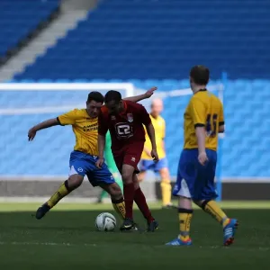 Brighton and Hove Albion's Opening Game of the Season: May 19, 2014 Brighton and Hove Albion's Opening Game of the Season: May 19, 2014