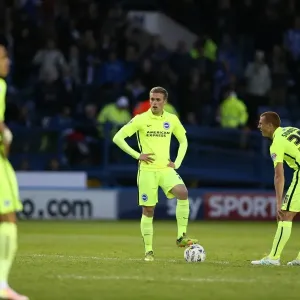 Brighton and Hove Albion's Play-Off Battle: Sheffield Wednesday Showdown (May 2016)