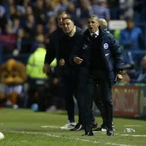 Brighton and Hove Albion's Play-Off Battle: Sheffield Wednesday Showdown (May 2016)
