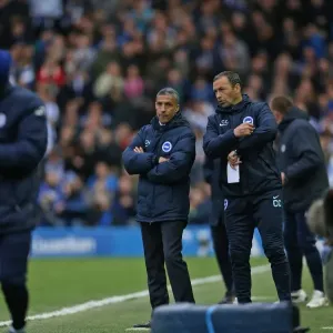 Brighton and Hove Albion's Play-Off Battle: Sheffield Wednesday vs. at Hillsborough (May 2016)