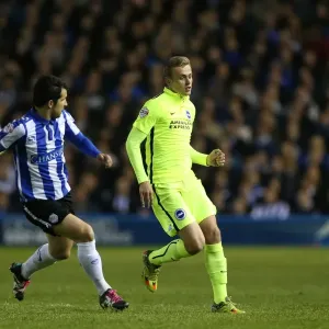 Brighton and Hove Albion's Play-Off Pursuit: Sheffield Wednesday Showdown (May 2016)