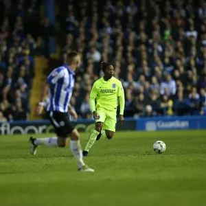 Brighton and Hove Albion's Play-Off Thriller: First Leg vs. Sheffield Wednesday at Hillsborough (May 2016)