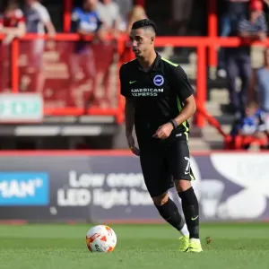 Brighton and Hove Albion's Pre-Season Battle at Lamex Stadium (23JUL16) Brighton and Hove Albion's Pre-Season Battle at Lamex Stadium (23JUL16)