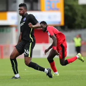 Brighton and Hove Albion's Pre-season Challenge: A Look into the EFL Sky Bet Championship Battle at Crawley Town (16th July 2016) Brighton and Hove Albion's Pre-season Challenge: A Look into the EFL Sky Bet Championship Battle at Crawley Town (16th July 2016)