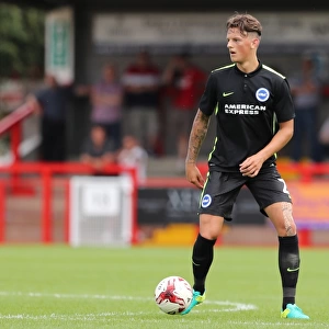 Brighton and Hove Albion's Pre-season Challenge: A Look at the Action against Crawley Town at Checkatrade Stadium (16th July 2016)