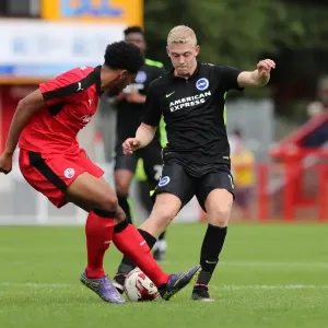 Brighton and Hove Albion's Pre-season Challenge: Crawley Town vs. Brighton (16th July 2016) Brighton and Hove Albion's Pre-season Challenge: Crawley Town vs. Brighton (16th July 2016)