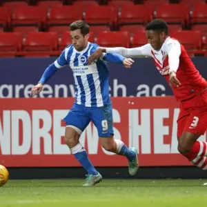 Brighton & Hove Albion's Sam Baldock Scores Against Charlton Athletic, The Valley, January 10, 2015 Brighton & Hove Albion's Sam Baldock Scores Against Charlton Athletic, The Valley, January 10, 2015