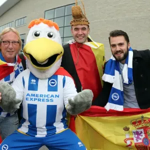 Brighton & Hove Albion's Spanish Day Celebration: Fans Dress Up at Amex Stadium vs Bolton Wanderers (September 21, 2013) Brighton & Hove Albion's Spanish Day Celebration: Fans Dress Up at Amex Stadium vs Bolton Wanderers (September 21, 2013)