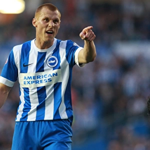 Brighton and Hove Albion's Steve Sidwell in Play-Off Tension: Brighton v Sheffield Wednesday, May 2016