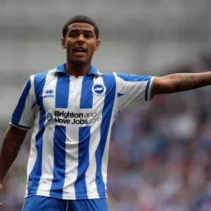 Brighton & Hove Albion's Tenacious Midfielder: Liam Bridcutt Brighton & Hove Albion's Tenacious Midfielder: Liam Bridcutt