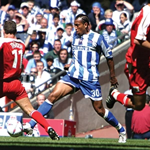 Brighton & Hove Albion's Thrilling 2004 Play-off Final Victory