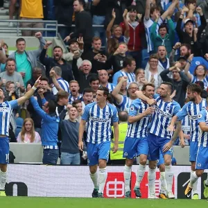 Brighton and Hove Albion's Tomer Hemed Celebrates First Goal Against Newcastle United in Premier League (12th August 2017) Brighton and Hove Albion's Tomer Hemed Celebrates First Goal Against Newcastle United in Premier League (12th August 2017)