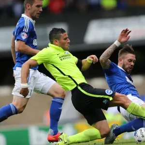 Brighton and Hove Albion's Tomer Hemed Scores Dramatic Goal: 3-2 Lead over Ipswich Town (Sky Bet Championship, 28 Aug 2015)