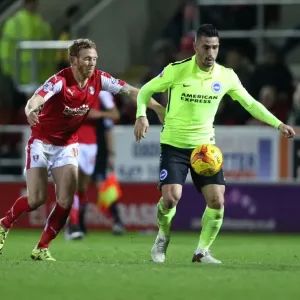 Brighton and Hove Albion's Triumph over Rotherham United in Sky Bet Championship (12 January 2016) Brighton and Hove Albion's Triumph over Rotherham United in Sky Bet Championship (12 January 2016)