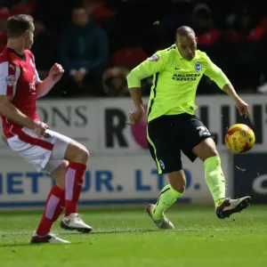 Brighton and Hove Albion's Triumph over Rotherham United in Sky Bet Championship (12 January 2016) Brighton and Hove Albion's Triumph over Rotherham United in Sky Bet Championship (12 January 2016)
