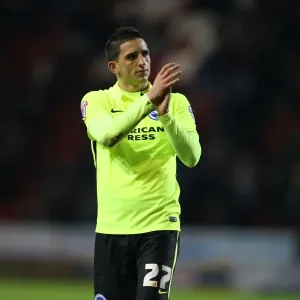 Brighton and Hove Albion's Triumph over Rotherham United in Sky Bet Championship (12 January 2016) Brighton and Hove Albion's Triumph over Rotherham United in Sky Bet Championship (12 January 2016)