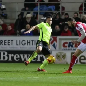 Brighton and Hove Albion's Triumph over Rotherham United in Sky Bet Championship (12 January 2016) Brighton and Hove Albion's Triumph over Rotherham United in Sky Bet Championship (12 January 2016)
