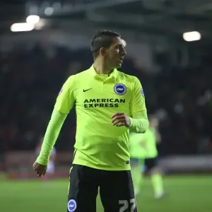 Brighton and Hove Albion's Triumph over Rotherham United in Sky Bet Championship (12 January 2016) Brighton and Hove Albion's Triumph over Rotherham United in Sky Bet Championship (12 January 2016)