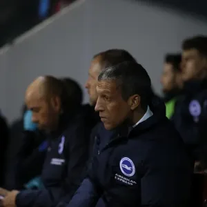 Brighton and Hove Albion's Triumphant Championship Win Against Rotherham United (07MAR17) Brighton and Hove Albion's Triumphant Championship Win Against Rotherham United (07MAR17)