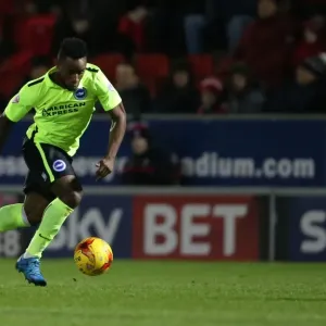 Brighton and Hove Albion's Triumphant Championship Win Against Rotherham United (January 12, 2016) Brighton and Hove Albion's Triumphant Championship Win Against Rotherham United (January 12, 2016)