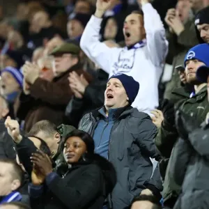 Brighton and Hove Albion's Victory Over Rotherham United in the EFL Sky Bet Championship (07MAR17) Brighton and Hove Albion's Victory Over Rotherham United in the EFL Sky Bet Championship (07MAR17)