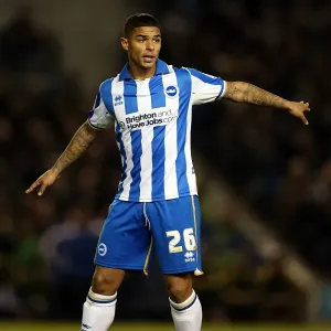 Brighton Leeds Utd 121102 Brighton Leeds Utd 121102