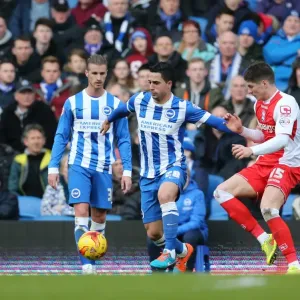 Brighton Midfielder Beram Kayal in Action against Birmingham City (February 2015) Brighton Midfielder Beram Kayal in Action against Birmingham City (February 2015)