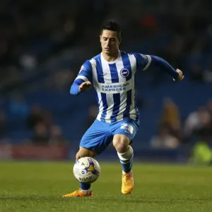 Brighton Midfielder Beram Kayal in Action Against Huddersfield Town (14APR15) Brighton Midfielder Beram Kayal in Action Against Huddersfield Town (14APR15)