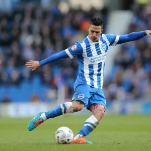 Brighton Midfielder Beram Kayal in Action Against Wolverhampton Wanderers (2015) Brighton Midfielder Beram Kayal in Action Against Wolverhampton Wanderers (2015)