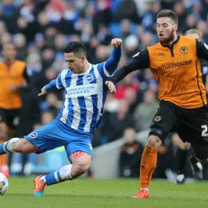 Brighton Midfielder Beram Kayal Fires a Shot Against Wolverhampton Wanderers in Sky Bet Championship Match Brighton Midfielder Beram Kayal Fires a Shot Against Wolverhampton Wanderers in Sky Bet Championship Match