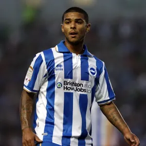 Brighton Midfielder Liam Bridcutt: Unwavering Focus and Determination on the Field Brighton Midfielder Liam Bridcutt: Unwavering Focus and Determination on the Field