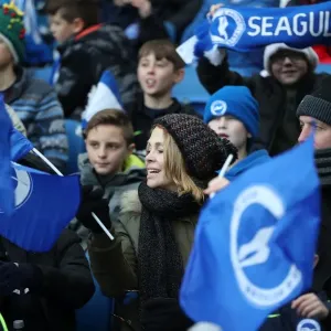 Brighton vs. Burnley: Fan Clash in Premier League Match at American Express Community Stadium (16DEC17) Brighton vs. Burnley: Fan Clash in Premier League Match at American Express Community Stadium (16DEC17)