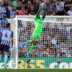 Brighton vs. Burnley: Premier League Print (14SEP19)