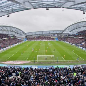 Brighton vs Crystal Palace - 17 / 03 / 2013