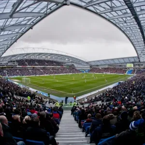 Brighton vs Crystal Palace Rivalry: Clash at The Amex Stadium (17/03/2013)
