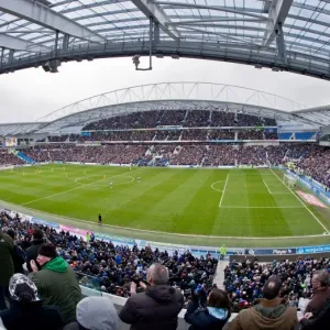 Brighton vs Crystal Palace Rivalry: Clash at The Amex Stadium (17/03/2013)
