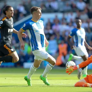 Brighton vs. Leeds: 2022/23 Premier League Clash at American Express Community Stadium Brighton vs. Leeds: 2022/23 Premier League Clash at American Express Community Stadium