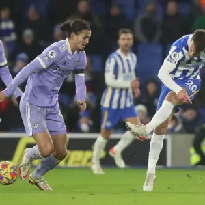 Brighton vs Leeds United: A Premier League Battle at American Express Community Stadium (Nov 2021) Brighton vs Leeds United: A Premier League Battle at American Express Community Stadium (Nov 2021)