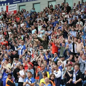 Brighton vs. Southampton: Intense Premier League Clash at American Express Community Stadium (21MAY23) Brighton vs. Southampton: Intense Premier League Clash at American Express Community Stadium (21MAY23)
