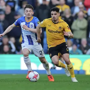 Brighton vs. Wolverhampton: A Premier League Clash at American Express Community Stadium (29APR23) Brighton vs. Wolverhampton: A Premier League Clash at American Express Community Stadium (29APR23)
