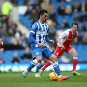 Brighton's Beram Kayal in Action Against Birmingham City, February 2015 Brighton's Beram Kayal in Action Against Birmingham City, February 2015