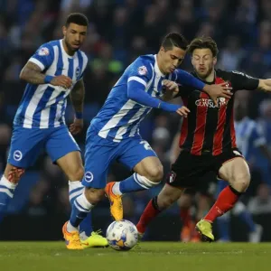 Brighton's Beram Kayal in Action Against Bournemouth (10APR15) Brighton's Beram Kayal in Action Against Bournemouth (10APR15)