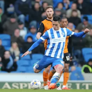 Brighton's Beram Kayal Battles in the Midfield Against Wolverhampton Wanderers, Championship 2015 Brighton's Beram Kayal Battles in the Midfield Against Wolverhampton Wanderers, Championship 2015