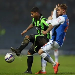 Brighton's Bridcutt in Action: Blackburn vs. Brighton, Npower Championship (22-01-2013) Brighton's Bridcutt in Action: Blackburn vs. Brighton, Npower Championship (22-01-2013)