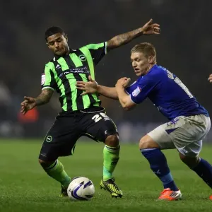 Brighton's Bridcutt in Action: Leicester Championship Clash (October 2012) Brighton's Bridcutt in Action: Leicester Championship Clash (October 2012)