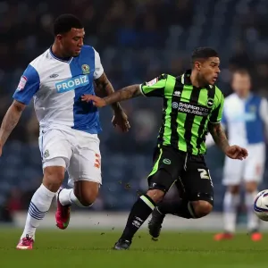 Brighton's Bridcutt Defends Against Kazim-Richards in Npower Championship Clash (Blackburn vs Brighton, 12-12-2012) Brighton's Bridcutt Defends Against Kazim-Richards in Npower Championship Clash (Blackburn vs Brighton, 12-12-2012)