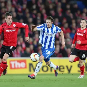 Brighton's Will Buckley Battles for Possession against Cardiff City, Npower Championship 2013 Brighton's Will Buckley Battles for Possession against Cardiff City, Npower Championship 2013