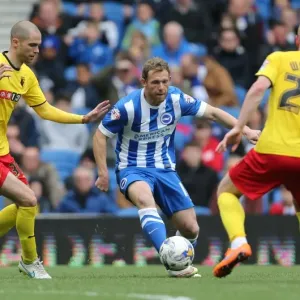 Brighton's Craig Mackail-Smith in Action: Sky Bet Championship Clash Against Watford (25 April 2015) Brighton's Craig Mackail-Smith in Action: Sky Bet Championship Clash Against Watford (25 April 2015)